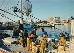 66 - Saint-Cyprien-Plage, Port : L'arrivée Des Pêcheurs - Saint Cyprien