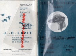 87 - PIERRE BUFFIERE - STADE MUNICIPAL-VIIE PRESENTATION CANINE 23 AOUT 1981- LAVIT SAINT JEAN LIGOURE- CHIEN - Limousin