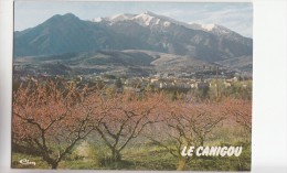 BF24757 Paysage Du Roussillon Prades P O Le Canigou   France   Front/back Image - Roussillon