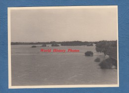 Carte Photo Format CPSM - DONZERE - Vue Du Rhône Sur Le Pont - 1939 - Donzere