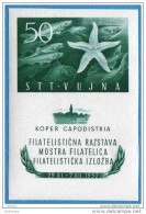 1952  84-BF- 3  TRIESTE B JUGOSLAVIA FLORA AND FAUNA IN SEA SOUVENIR SHEET NEVER HINGED KATALOG PREIS 70,00 EURO - Nuevos