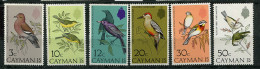 Iles Caïmanes ** N° 324 à 329 - Oiseaux (I) - Kaimaninseln