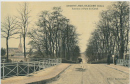 Argent Sur Sauldre (cher) Avenue Et Pont Du Canal - Unique - Argent-sur-Sauldre