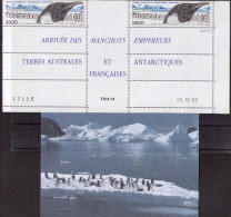TAAF Penguin , Postcard - Blokken & Velletjes