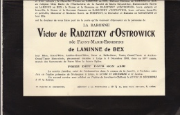 Victor De Radzitzky D'ostrowick Née Fanny De Laminne De Bex - Décès