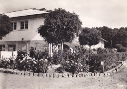 88 /  DARNEY - Colonie De Vacances - Houillères De Petite Rosselle à Thiétry - Darney