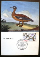 FRANCE Oiseaux, Sarcelle Yvert 1275 Sur Carte Maximum. FDC, Emis En 1960 - Other & Unclassified