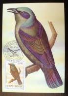 SAO TOME ET PRINCIPE Oiseaux. (lamprotomis Ornatus). Carte Maximum, FDC, Yvert 794. Emis En 1983 - Other & Unclassified