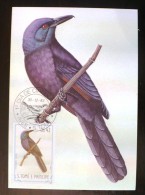 SAO TOME ET PRINCIPE Oiseaux. (onychognatus Fulgidus). Carte Maximum, FDC, Yvert 793. Emis En 1983 - Autres & Non Classés