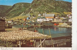 BF26792 Petty Harbour Newfoundland  Canada  Front/back Image - Autres & Non Classés