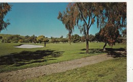 BF26874 San Diego Trees Of Many Different Kinds California USA  Front/back Image - San Diego