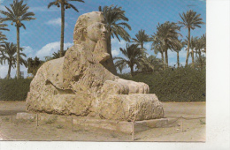 BF27052 Giza The Sphinx Of Sakkara Egypt Front/back Image - Sphynx