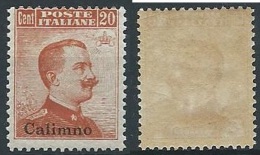 1917 EGEO CALINO EFFIGIE 20 CENT SENZA FILIGRANA MNH ** - ED924 - Egée (Calino)