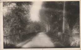 Delcampe - MONTAIGU -85- PONT RUSTIQUE PRES DES RUINES DU VIEUX CHATEAU - Montaigu