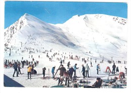 Vallée D'Aure, SAINT LARY; Pistes De L'Ecole Au Plat D'Adet ; Le Cap Des Carrots, Belle Animation , SKI ;TB - Vielle Aure