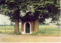 Meerhout  Molenpad Stenen Kapel - Meerhout