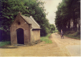 Meerhout  Drossaardpad Kapelletje Van D'Engstraat - Meerhout