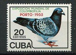 Cuba ** N° 2594 - Oiseaux : Pigeon Voyageur - Ongebruikt