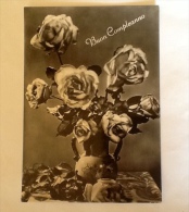 BUON COMPLEANNO VINTAGE ROSE NON VIAGGIATA K BROMOFOTO - Geburtstag