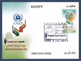 Egypt - 2013 - FDC - ( World Environment Day ) - Cartas & Documentos