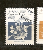 Sahara Ocid.(1) - Fantasy Labels