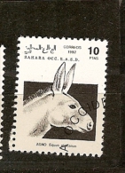 Sahara Ocid.(4) - Fantasy Labels