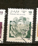 Sahara Ocid.(8) - Fantasy Labels