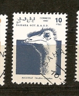 Sahara Ocid.(10) - Fantasy Labels