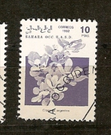 Sahara Ocid.(11) - Fantasy Labels