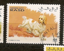 Sahara Ocid.(13) - Fantasy Labels