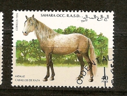 Sahara Ocid.(21) - Fantasy Labels