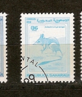 Saharaui .(3) - Fantasy Labels