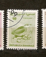 Saharaui .(6) - Fantasy Labels