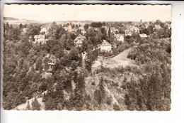 0-9903 PÖHL - JOCKETA, Panorama, 1958 - Poehl