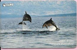 PHONECARD - Dolphin (tursiops Truncatus), 100 Imp., Croatia - Delfines