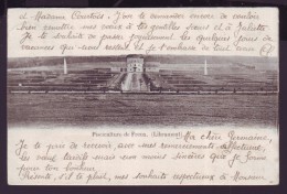 Carte Postale - Pisciculture De FREUX - Libramont - CPA  // - Libramont-Chevigny