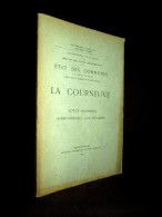 "La COURNEUVE" ETAT Des COMMUNES à La Fin Du XIXe S Région Paris Seine Saint Denis Carte Plan Gravé XVIIIe Couleur 1899 - Ile-de-France