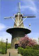 RAVENSTEIN Bij Oss (N.Br.) - Molen/moulin - De Nijverheid (of De Raaf), Hoogste Molen Van De Provincie Noord-Brabant - Oss