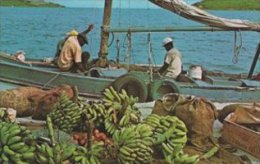 Native Sloops With Fruits.  Virgin Islands.    S-1427 - Jungferninseln, Britische