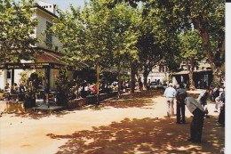 CPSM PETANQUE JEUX  DE BOULES CAFE SAINT PAUL DE VENCE ED MAR - Petanca