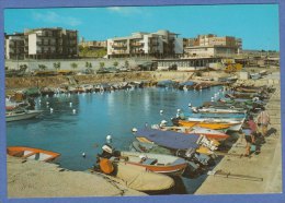 BISCEGLIE  (  Bari) -F/G   Colore (61009) - Bisceglie