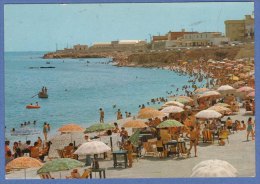 BISCEGLIE  (  Bari) -F/G   Colore (61009) - Bisceglie