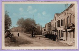 82 - MONCLAR De QUERCY --  Avenue De La Poste - Montclar De Quercy