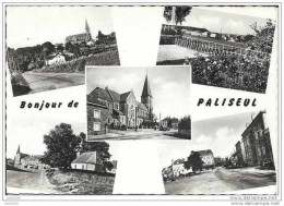 PALISEUL ..-- Bonjour De ... 1968 Vers NAMECHE ( Mr Mme Ernest BREUX ) . Voir Verso . - Paliseul