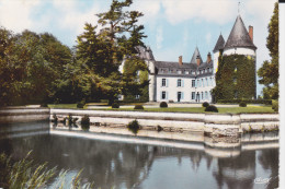 CPSM THAUMIERS CHER LE CHATEAU 1963 CIM - Thaumiers