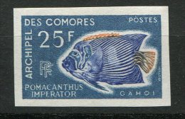 Comores  **ND -  4 8 - Poisson - Unused Stamps