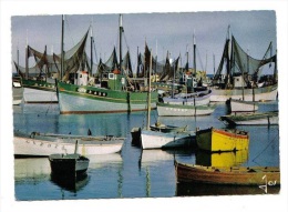 Port Bigouden, Bateaux Au Repos (Lesconil), éd. Jos MX 3131 - Lesconil