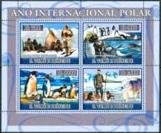 2007 St. Tomè & Principe Anno Polare Internazionale Pinguini Penguins Block MNH** Fiog87 - Année Polaire Internationale