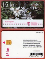 EDELWEISS (Croatia) Mountaineering Climbing Montanismo Alpinisme Bergsteigen Alpinismo Stella Alpina Edelweiß Flowers - Gebirgslandschaften