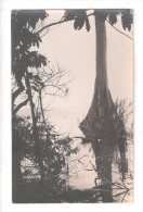 RP  SAID TO BE GOLD COAST Ghana COUPLE OF NATIVES TALL TREE IN WATER UNUSED CARD 1 OF 7 - Ghana - Gold Coast